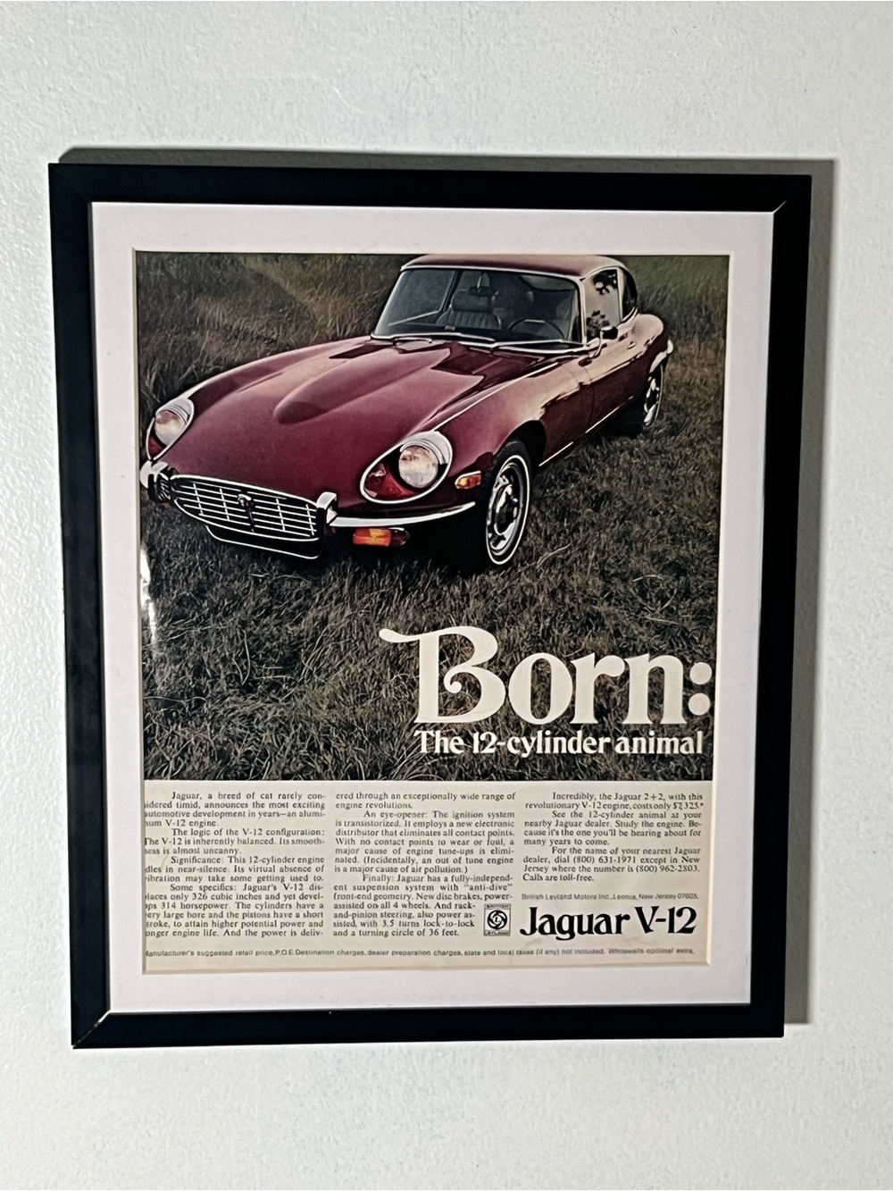 Jaguar Car Wall Art Print Framed Advertisement Ad